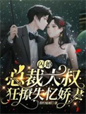 闪婚，总裁大叔狂撩失忆娇妻